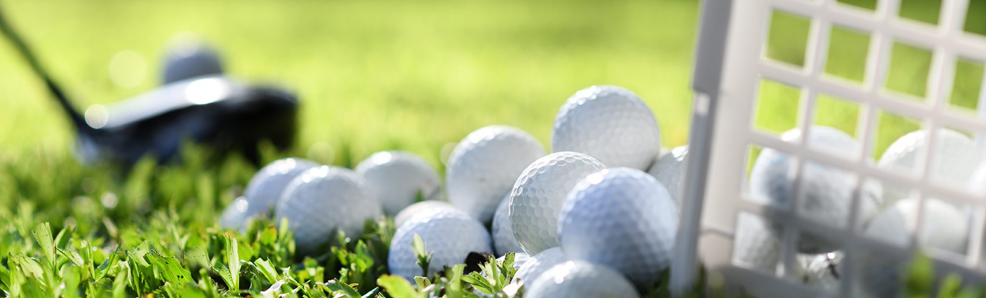 Golf balls lying on grass.