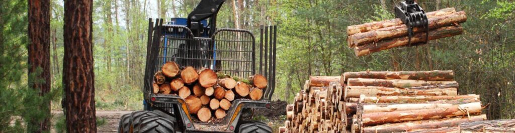 Logging equipment in a forest.