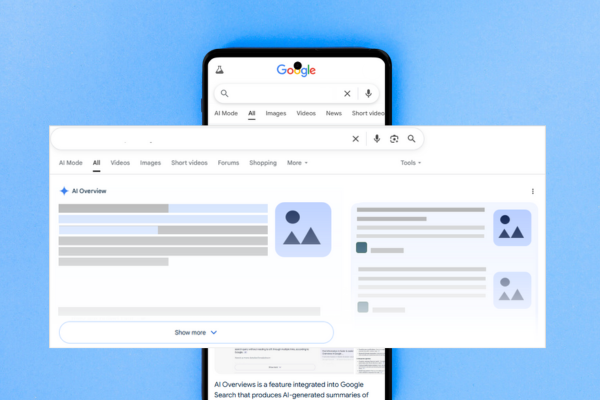 Google's AI Overview Search Results