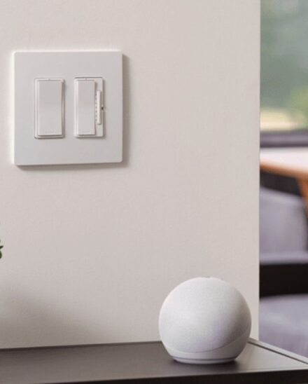 White light switch and dimmer on a living room wall beside a potted plant and smart speaker